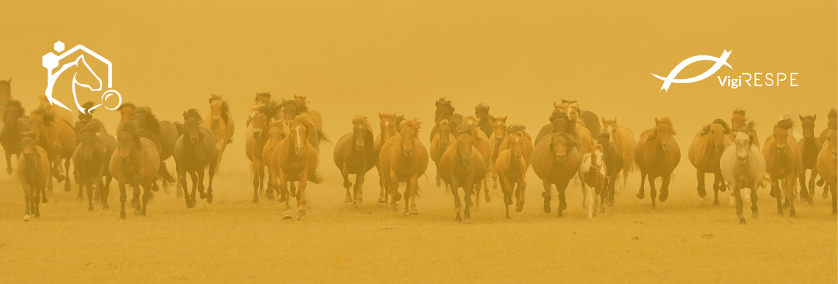 Maladies équines : et si vous deveniez acteur de la surveillance avec le RESPE ?
