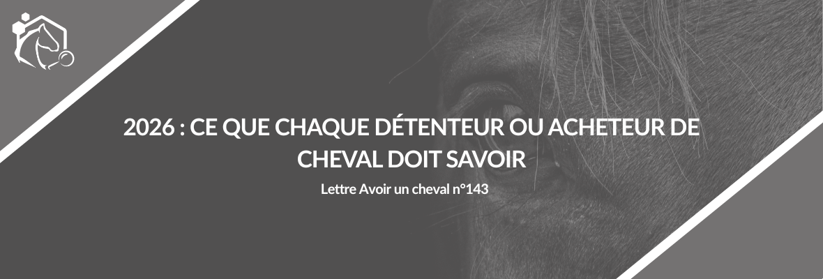 Acheter, vendre ou détenir un cheval : ce qu’il faut savoir en 2026 (Lettre IFCE « Avoir un cheval » n°143)