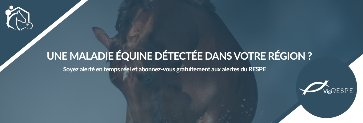 Recevez en temps réel les alertes sanitaires équines du RESPE