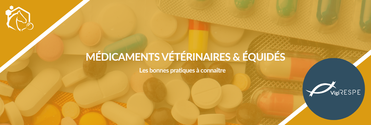 Médicaments vétérinaires chez les équidés : bonnes pratiques d’utilisation, de conservation et d’élimination