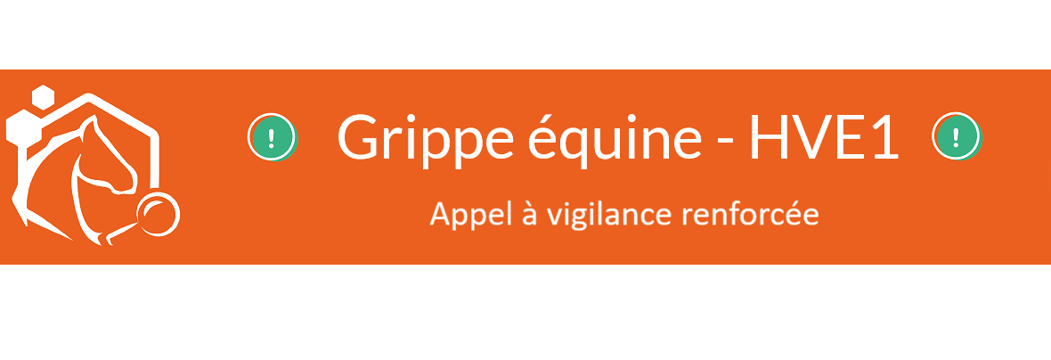 Appel à vigilance renforcée – Grippe équine / HVE1 – 20/01/2026