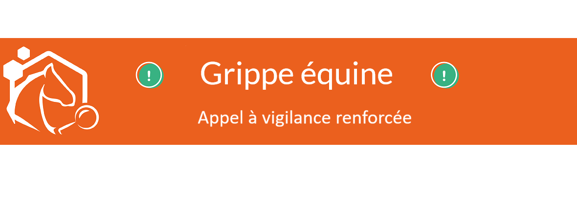Grippe équine – Appel à vigilance renforcée – 14/01/2026