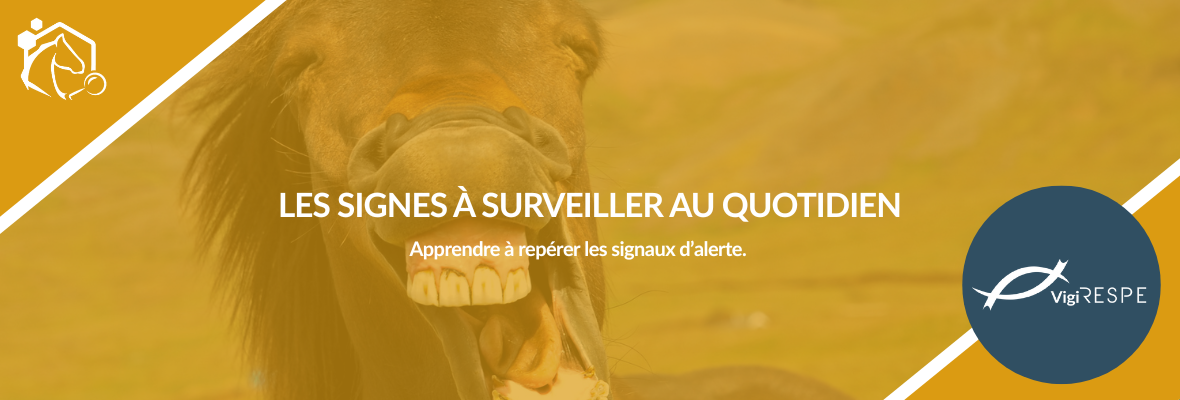 Paramètres physiologiques chez les équidés : savoir reconnaître les signes d’alerte