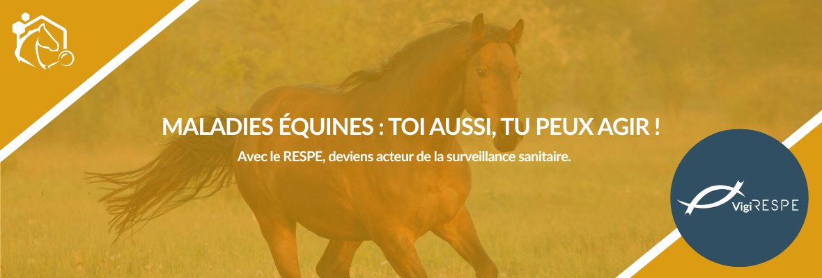 Maladies équines : devenez acteur de la surveillance sanitaire avec le RESPE