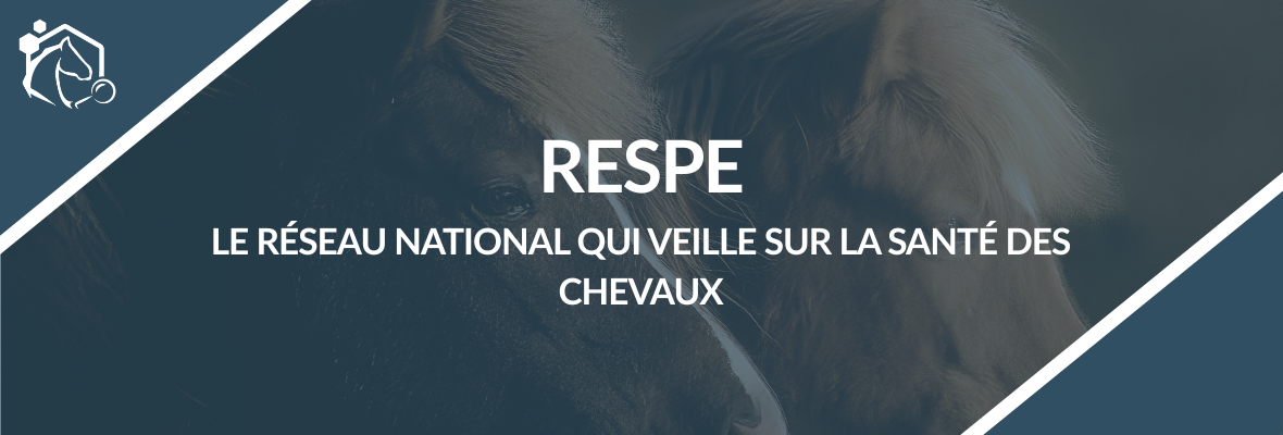 Le RESPE, acteur central de la santé équine en France