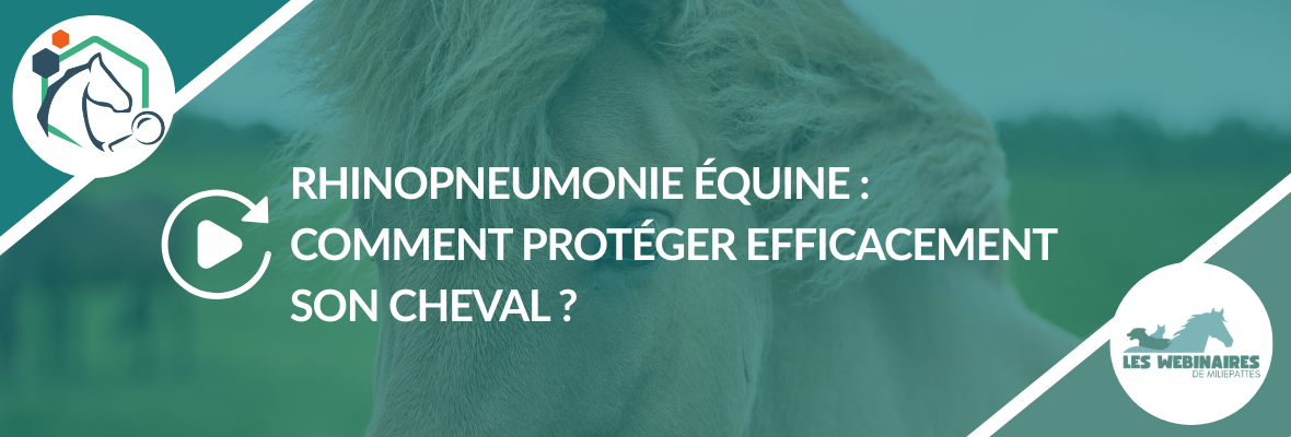 Replay – Rhinopneumonie équine (HVE) : comment protéger efficacement son cheval ?