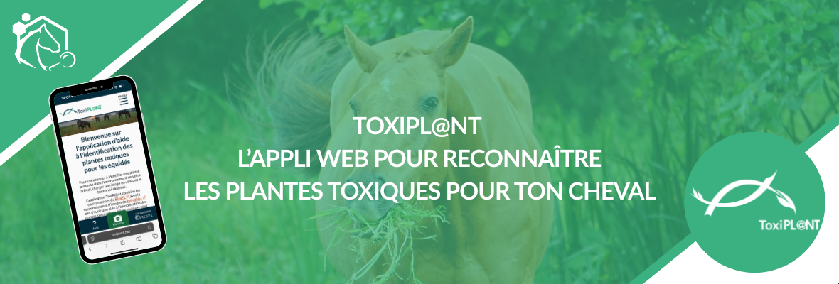 ToxiPL@NT : une application web pour reconnaître les plantes toxiques pour les chevaux
