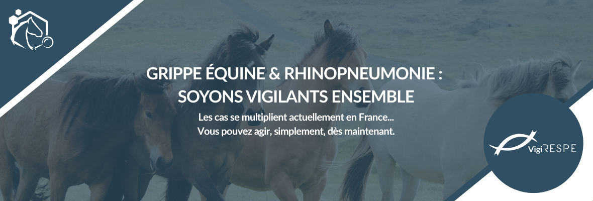 Maladies équines : devenez acteur de la surveillance sanitaire avec le RESPE