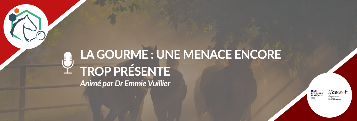 Webconférence – La gourme : une menace encore trop présente