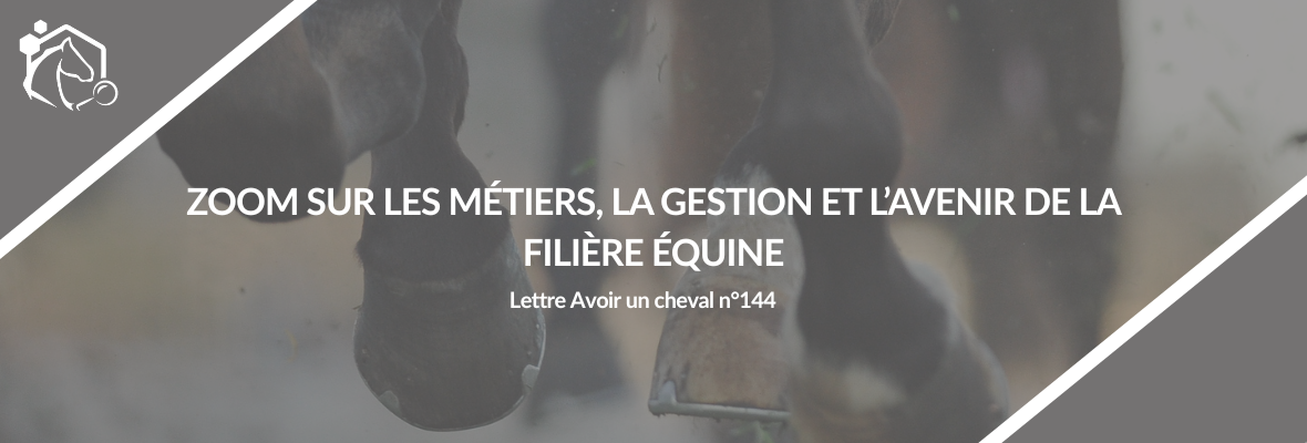Lettre IFCE n°144 – Février 2026 : zoom sur les métiers, la gestion et l’avenir de la filière équine