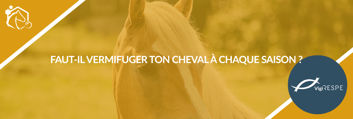 Coproscopie, vermifugation raisonnée et résistance aux vermifuges : mieux protéger les chevaux contre les parasites