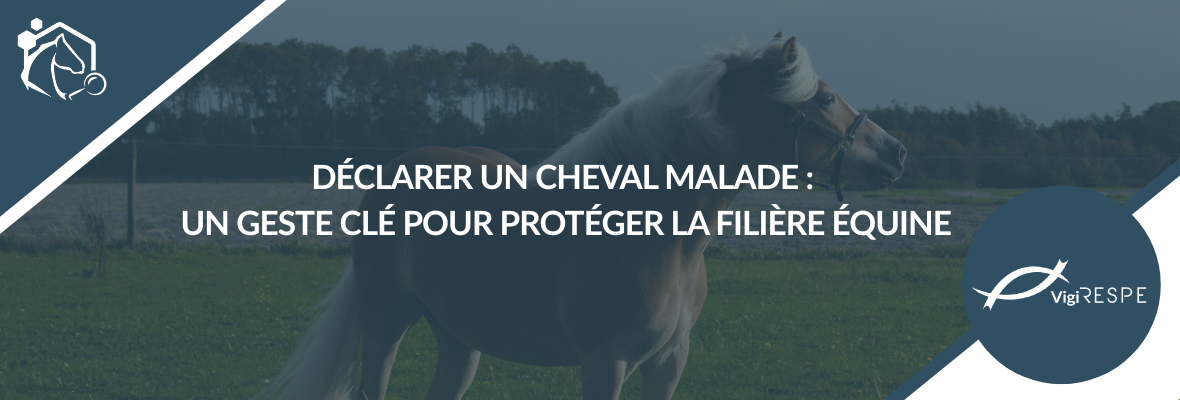 Déclarer un cheval malade : un acte clé pour la surveillance des maladies équines