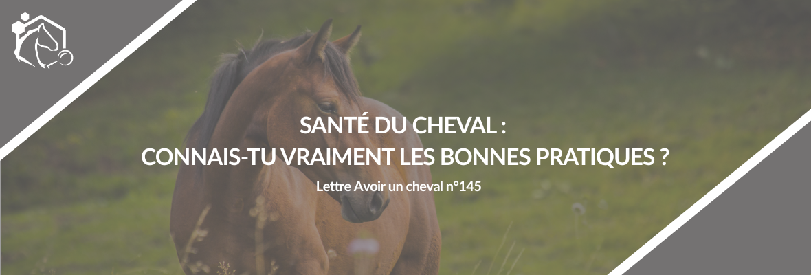 Lettre Avoir un cheval n°145