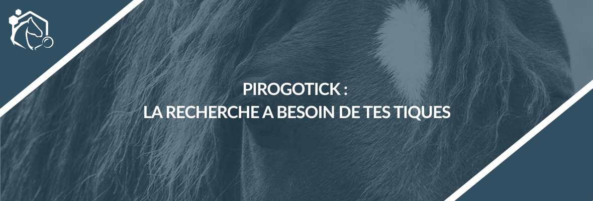 PiroGoTick : la recherche sur la piroplasmose équine a besoin de vos tiques