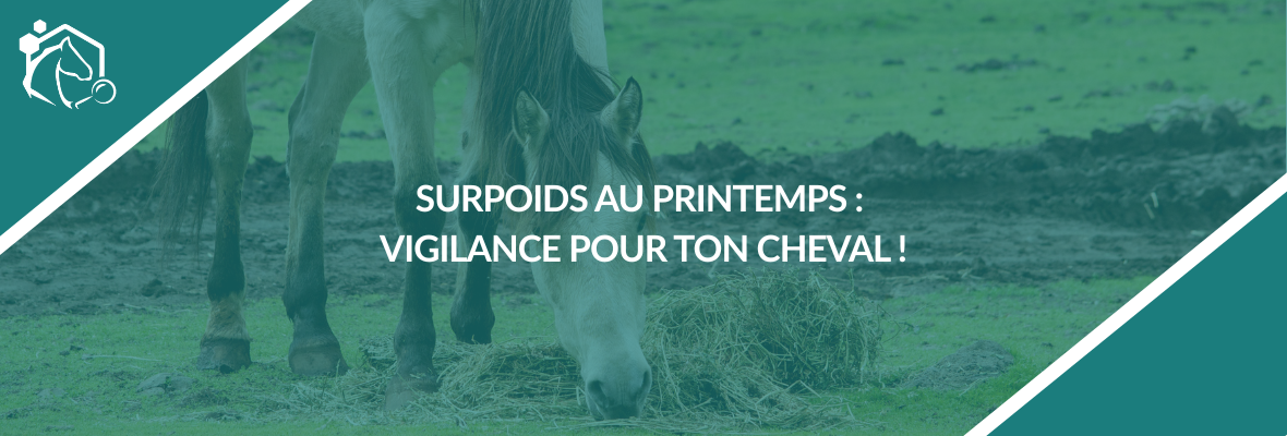 Poids du cheval : prévenir le surpoids au printemps