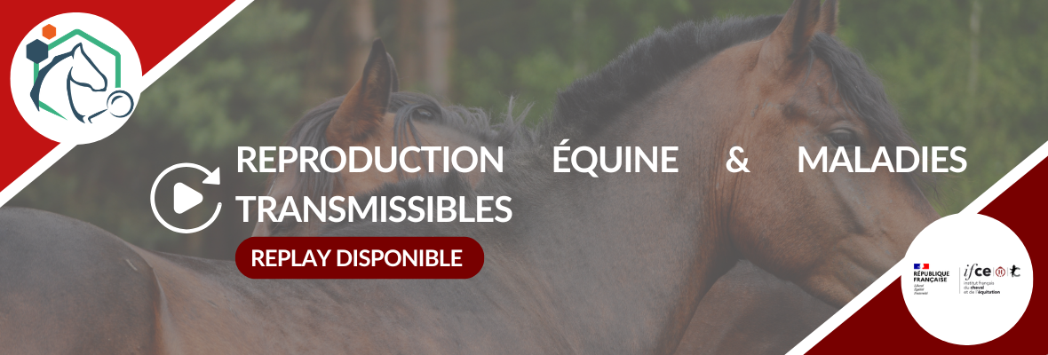 Replay webconférence – Reproduction équine : prévenir les maladies transmissibles entre reproducteurs