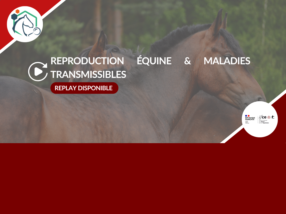 Repro Equine Replay webconférence – Reproduction équine : prévenir les maladies ...