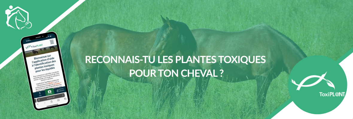ToxiPL@NT : un outil pour identifier les plantes toxiques chez le cheval