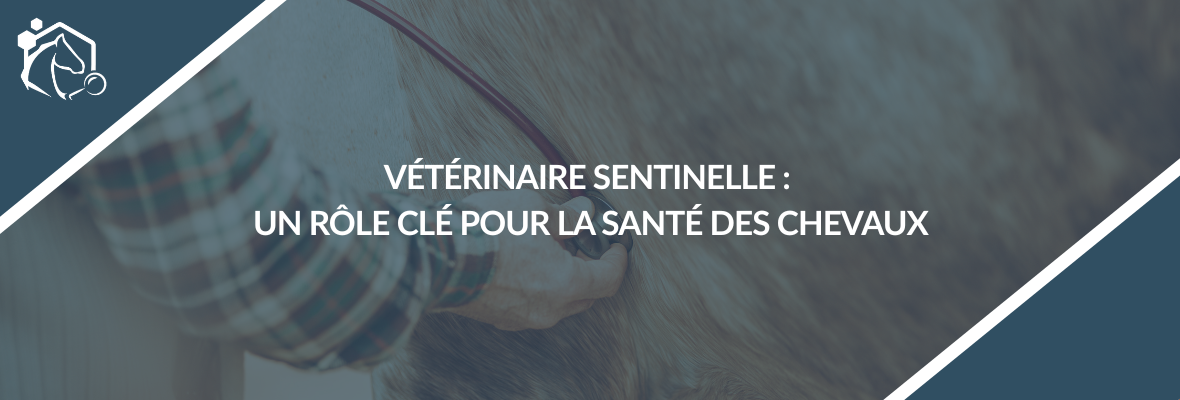 Vétérinaire sentinelle du RESPE : un acteur clé de la surveillance sanitaire équine