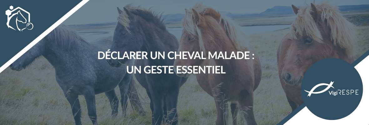 Déclarer un cheval malade : un acte essentiel pour la surveillance des maladies équines