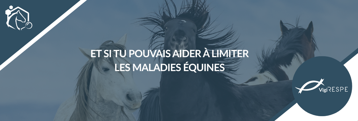 Maladies équines : participez activement à la surveillance sanitaire avec le RESPE