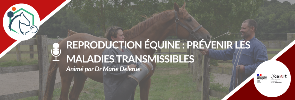 Webconférence – Reproduction équine : prévenir les maladies transmissibles entre reproducteurs