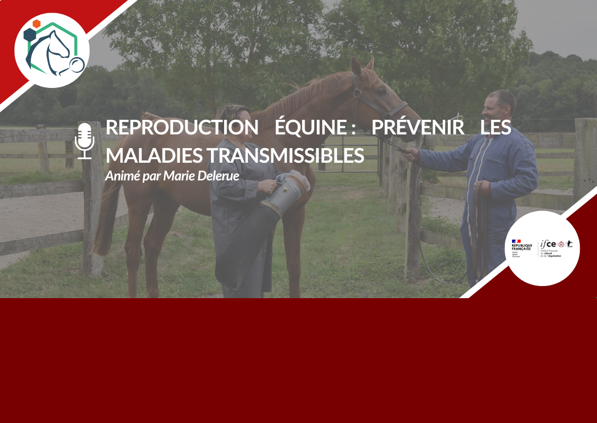 Repro Equine Webconférence – Reproduction équine : prévenir les maladies ...