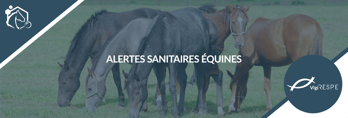 Alertes sanitaires équines : restez informé en temps réel avec le RESPE