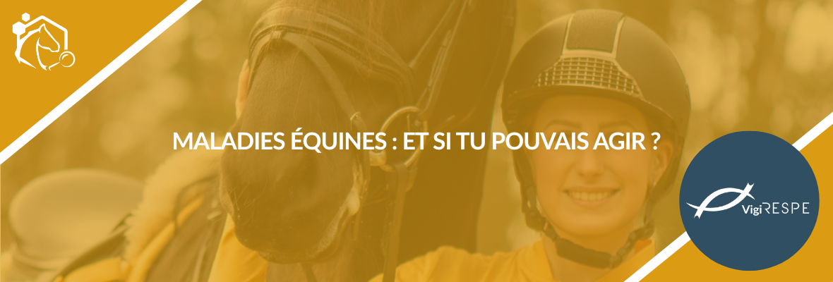 Surveillance des maladies équines : engagez-vous aux côtés du RESPE