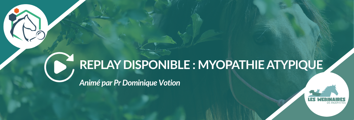 Replay webinaire – Myopathie atypique équine : prévenir le risque au pâturage