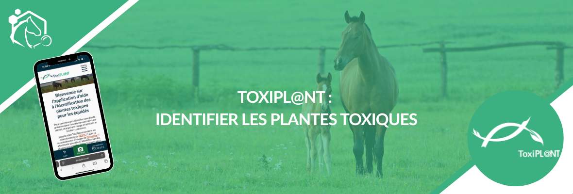 ToxiPL@NT : identifier rapidement les plantes toxiques pour le cheval